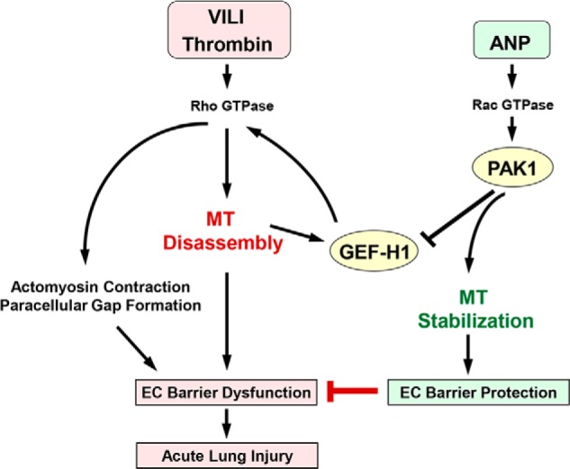 FIGURE 14.