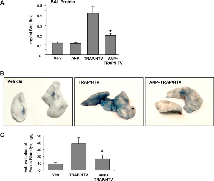 FIGURE 11.