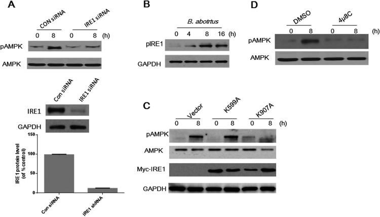 FIG 2