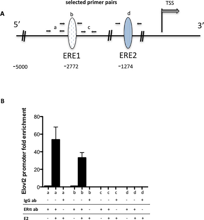 Fig 8