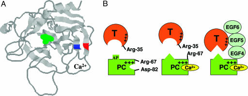 Fig. 6.