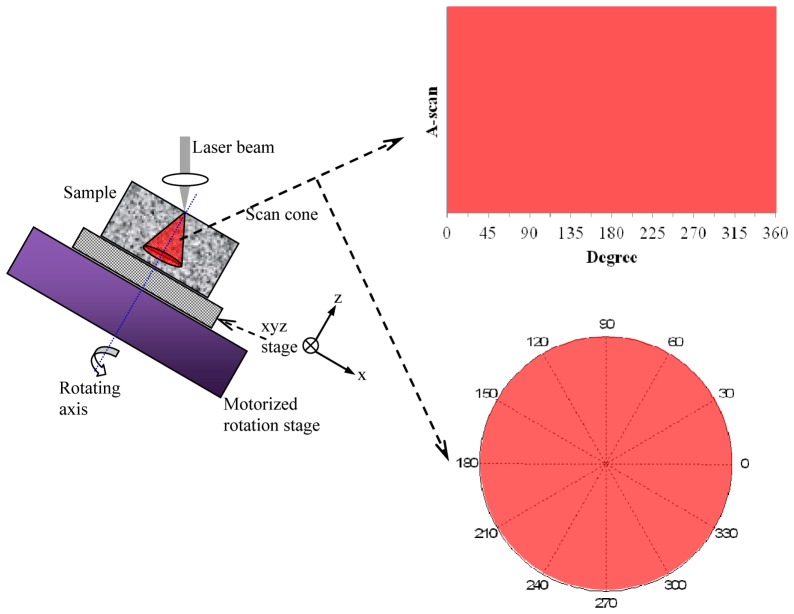 Fig. 2