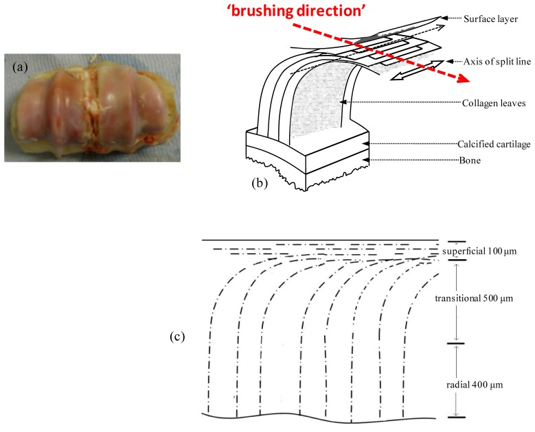 Fig. 5