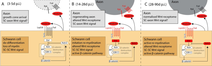 Fig 11