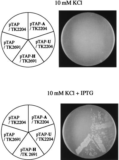 FIG. 6