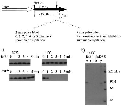 FIG. 9