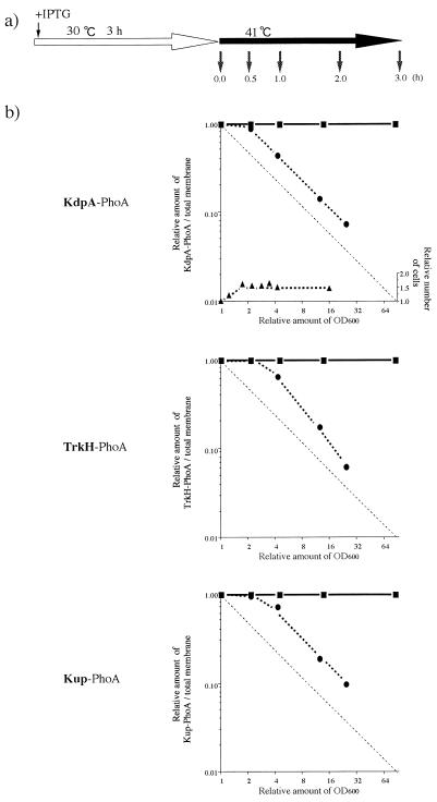 FIG. 7