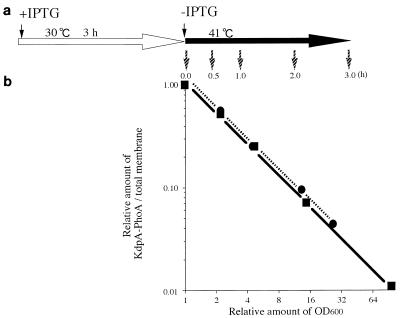 FIG. 8