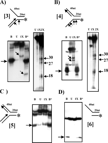 FIG. 4.