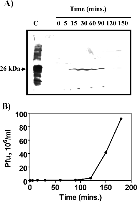 FIG. 7.