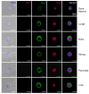 Figure 8