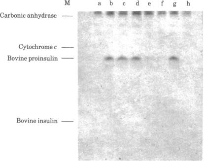 graphic file with name pnas00652-0159-a.jpg