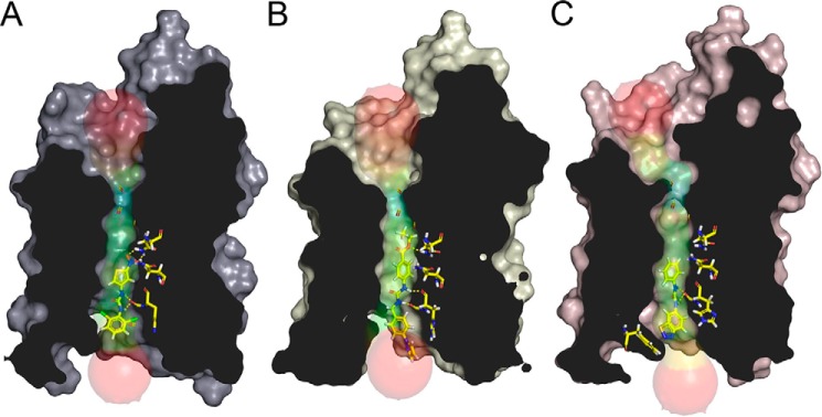 Figure 6.