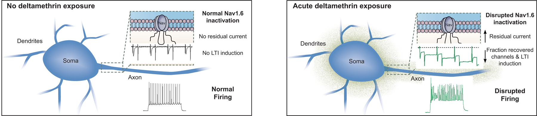 Figure 5)