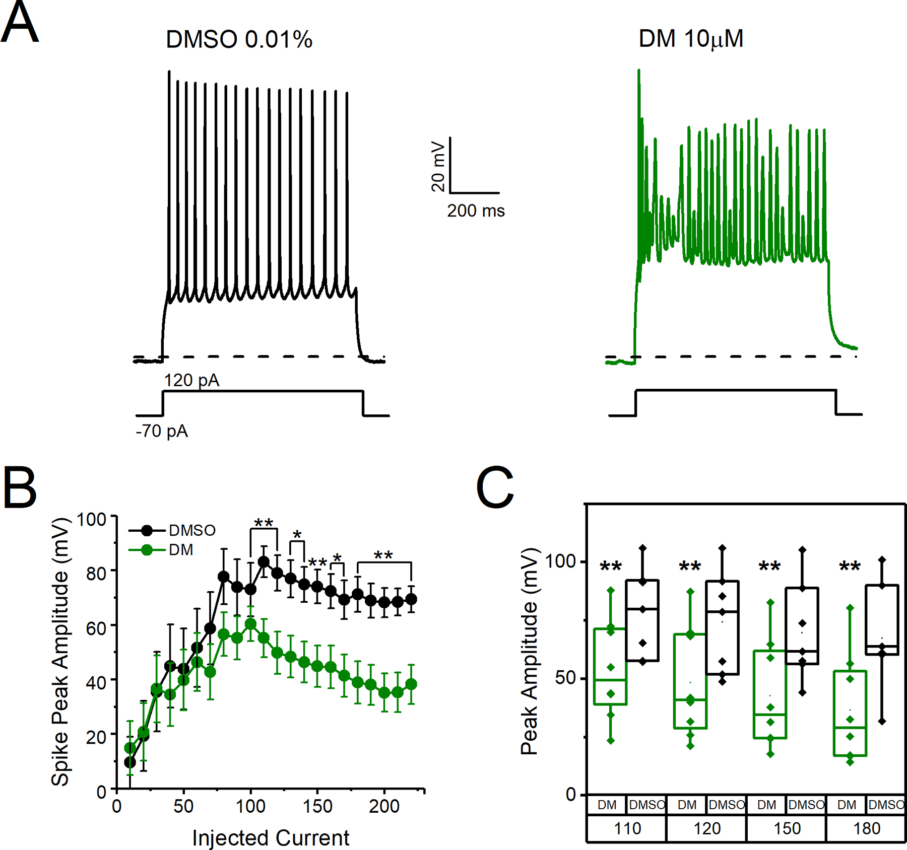 Figure 3)