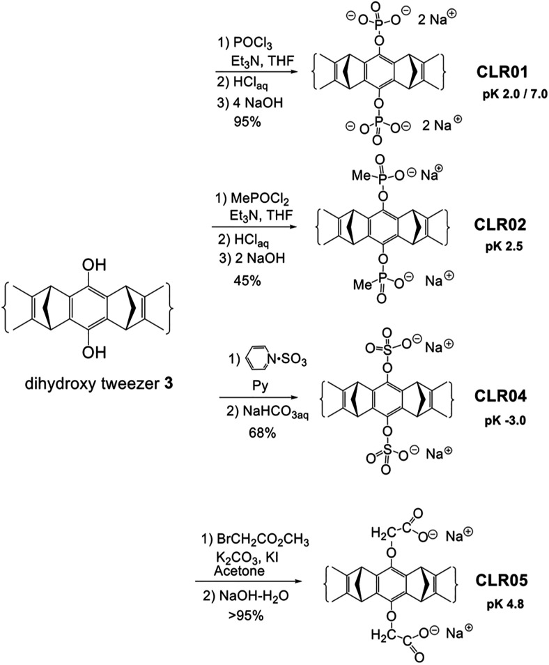 Scheme 5