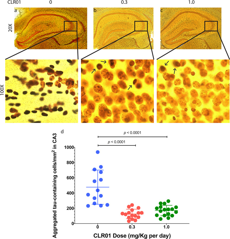 Fig. 12