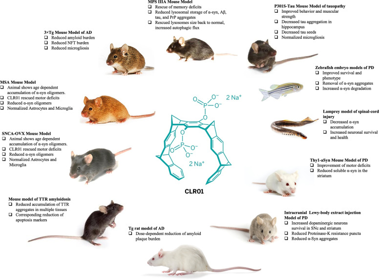 Fig. 21