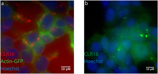 Fig. 18