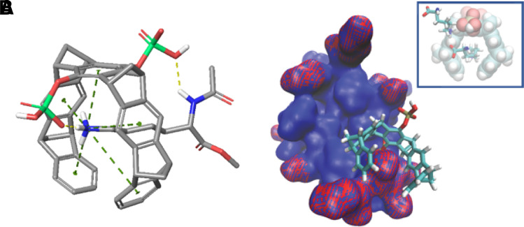 Fig. 16