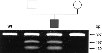 Figure  2