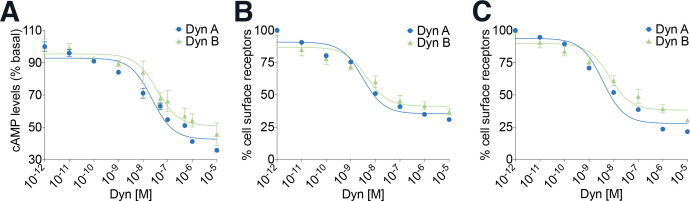 Figure 1—figure supplement 1.