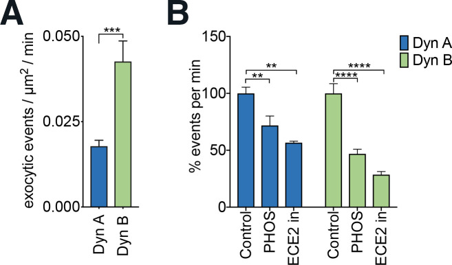 Figure 2—figure supplement 1.