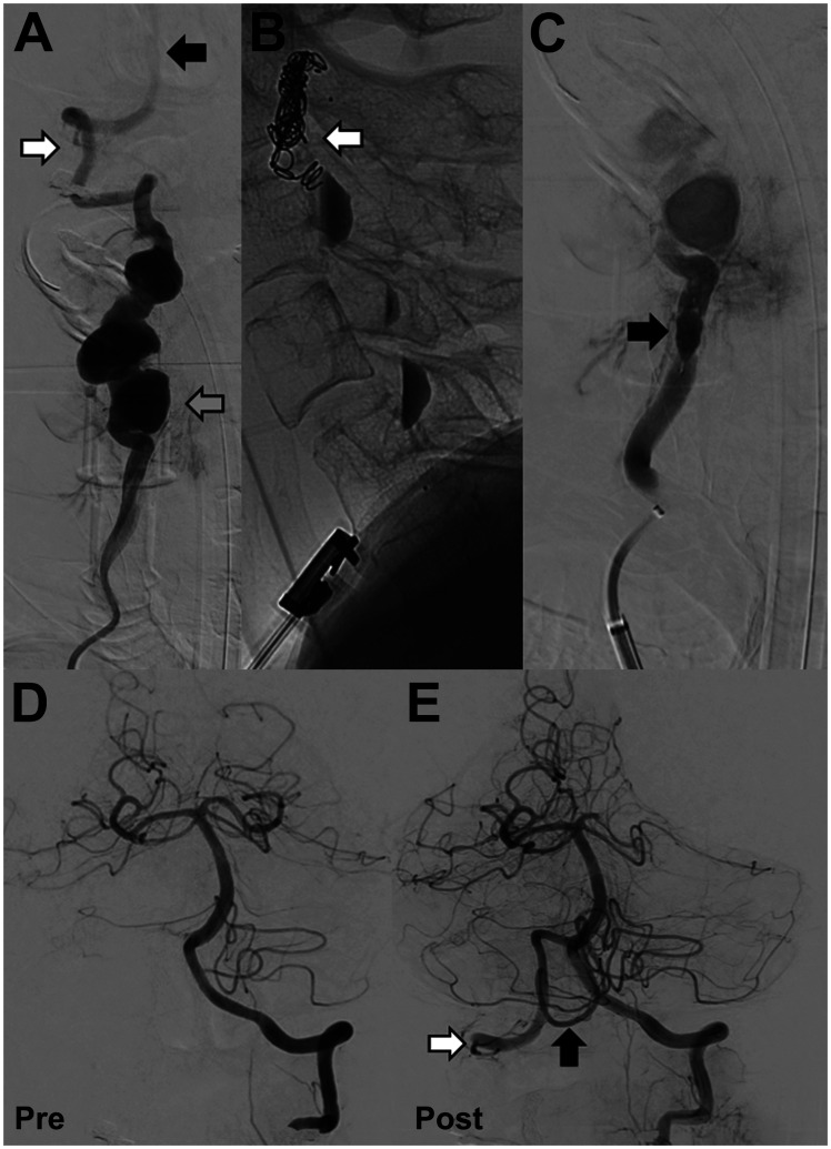 Figure 2.