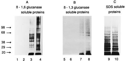 FIG. 6