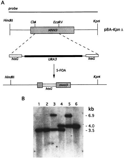 FIG. 4