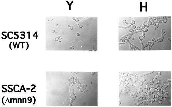 FIG. 5