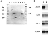 FIG. 7