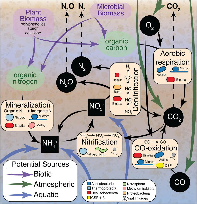 FIG 6