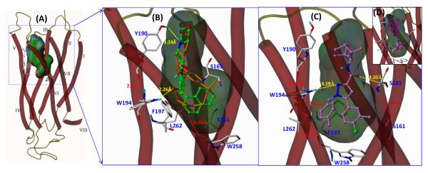 Fig. 6