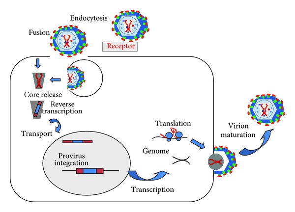 Figure 2