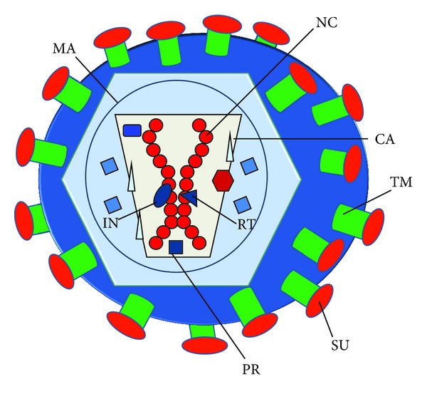 Figure 1