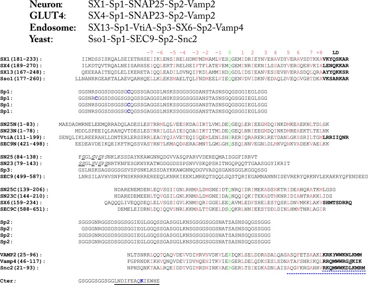 Figure 1—figure supplement 1.