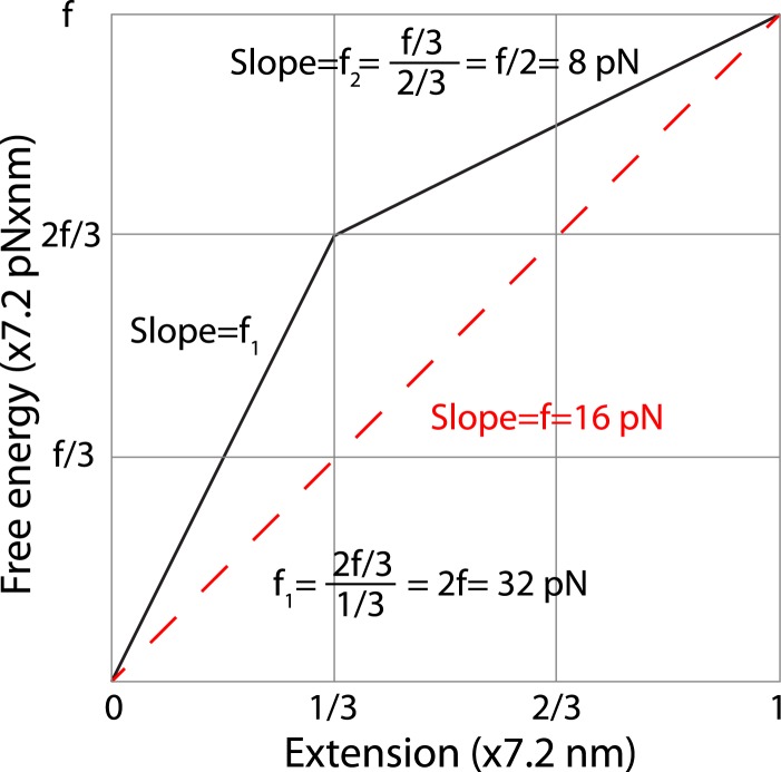 Figure 7—figure supplement 1.