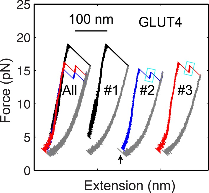 Figure 2—figure supplement 3.