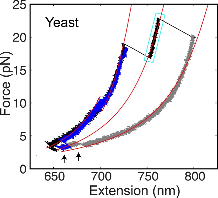 Figure 2—figure supplement 4.