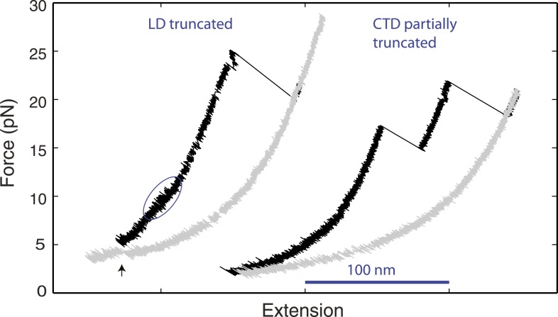 Figure 2—figure supplement 1.