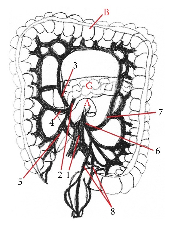 Figure 13