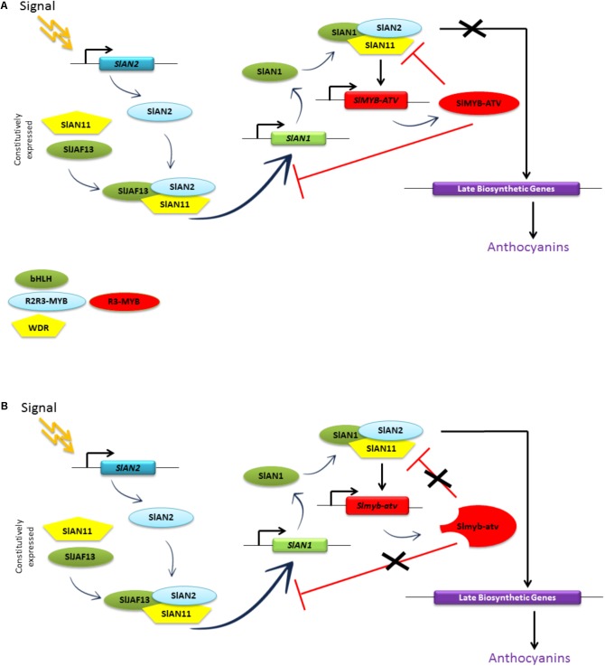 FIGURE 10