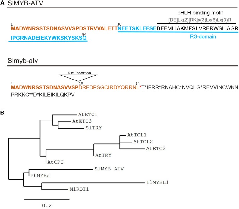 FIGURE 3