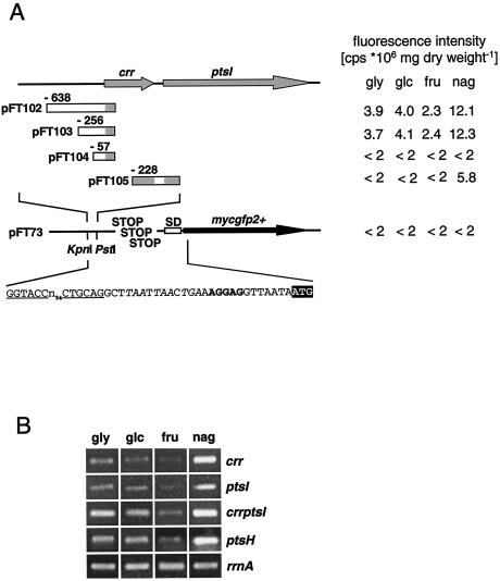 FIG. 4.