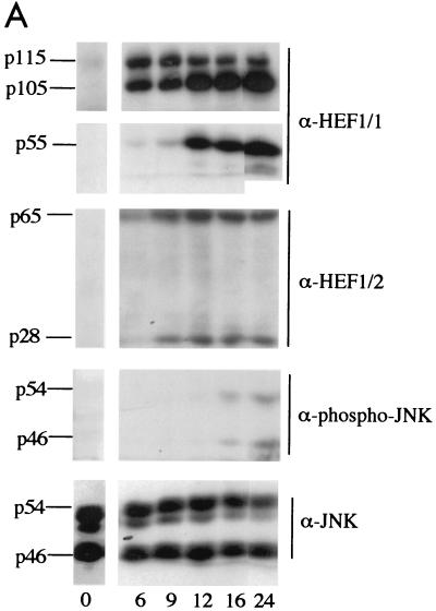 FIG. 8