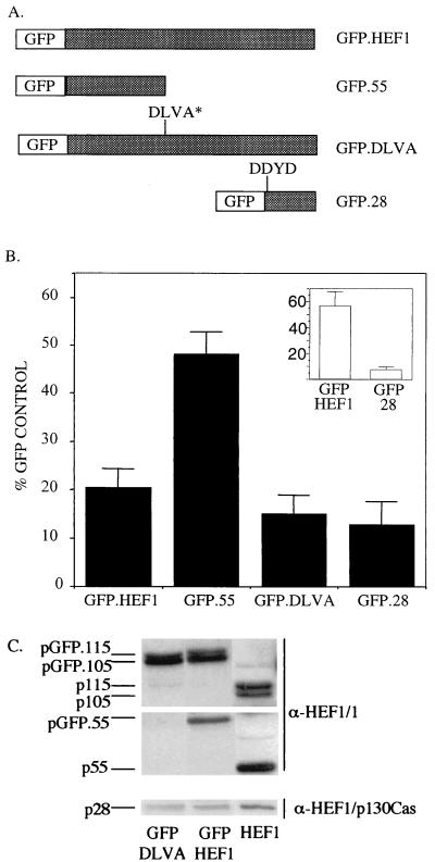 FIG. 7