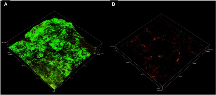 FIGURE 4