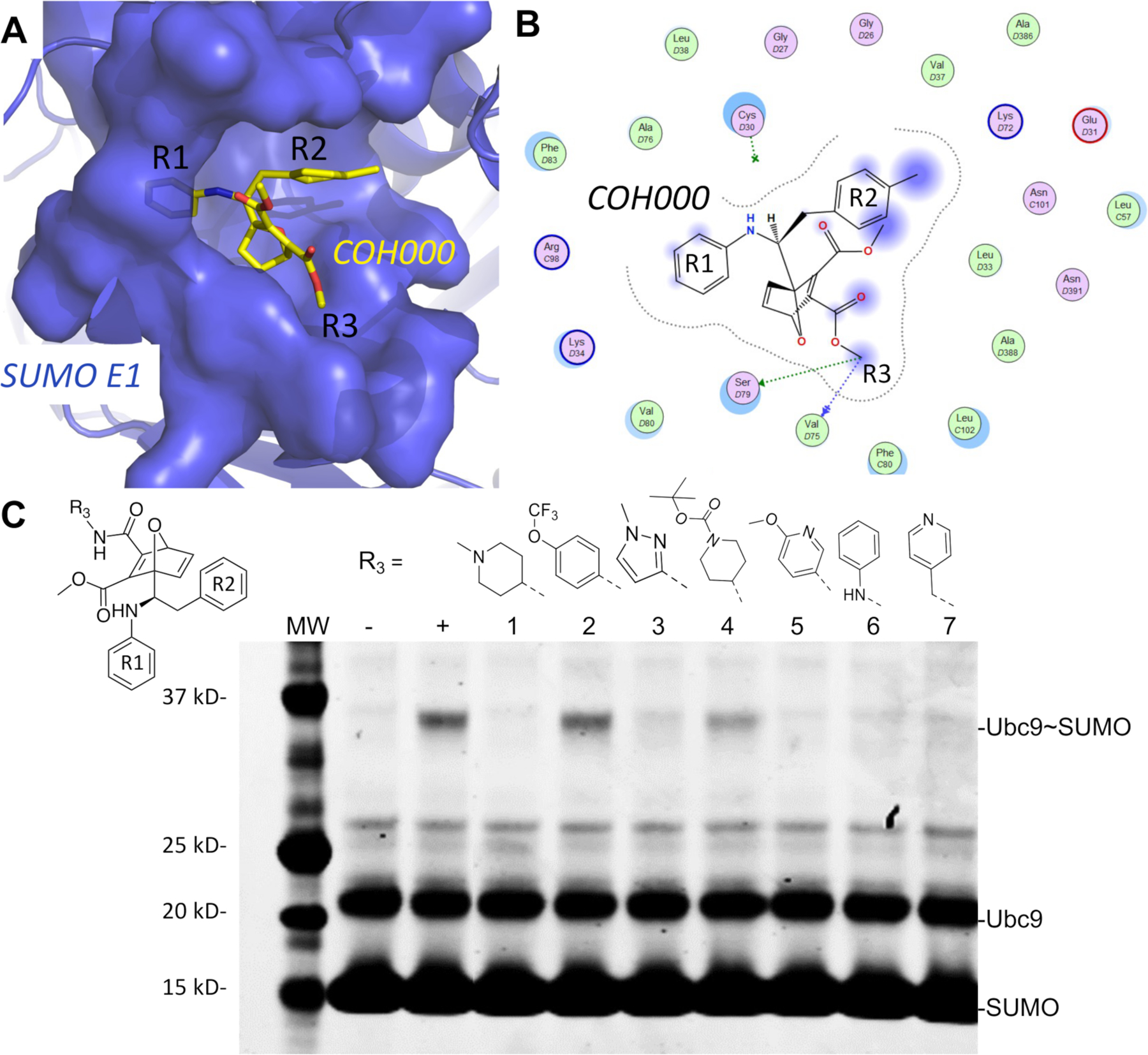 Figure 5.