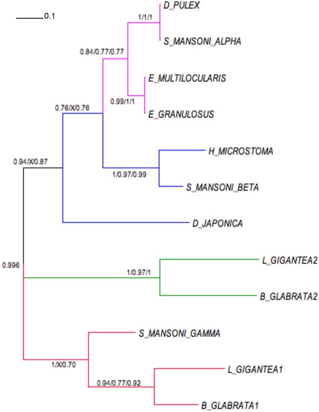 Fig 3